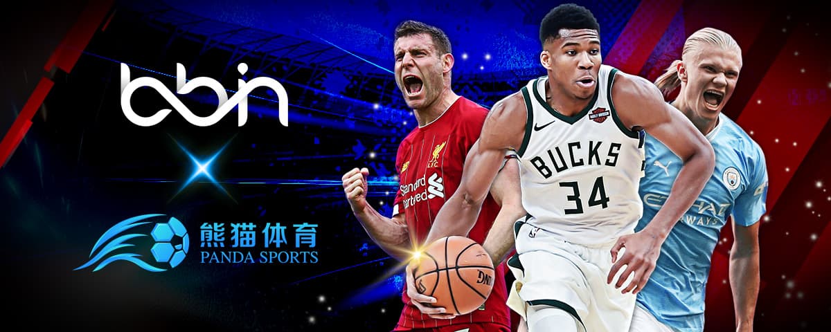 在FIFA